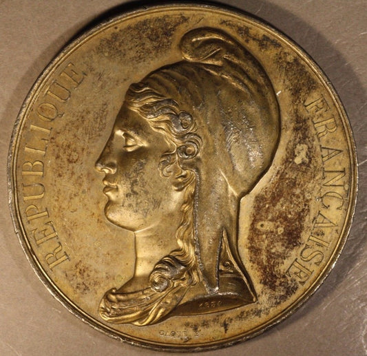 1870 France Proclamation of the Third Republic Medallion 