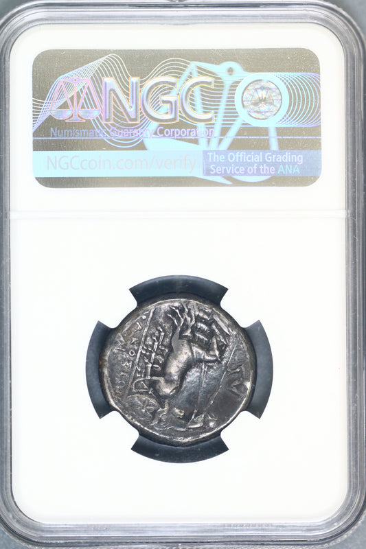 Sicily Syracuse Ag Tetradrachm   Agathocles 317-289 BC   NGC VF   S95